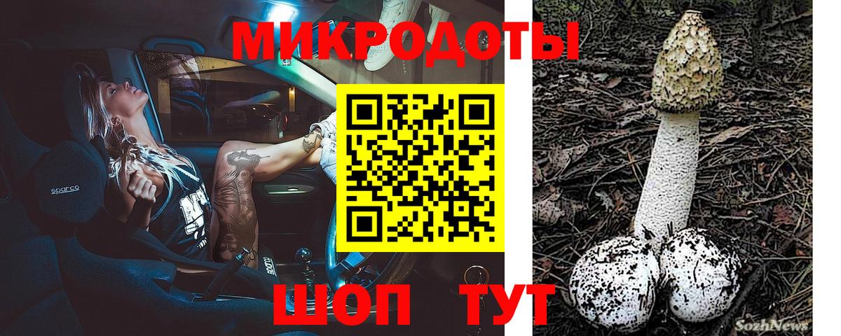 Галлюциногенные грибы Psilocybine cubensis  Вход с VPN  Зеленокумск 