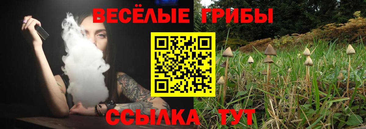 Псилоцибиновые грибы Cubensis Зеленокумск